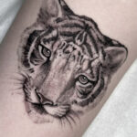 TattooCruise_Artist-Vorstellung_TanisBiazus_5