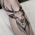 TattooCruise_Artist-Vorstellung_TanisBiazus_6